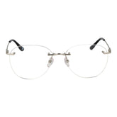 BMW Silver Titanium Glasses (Frames)